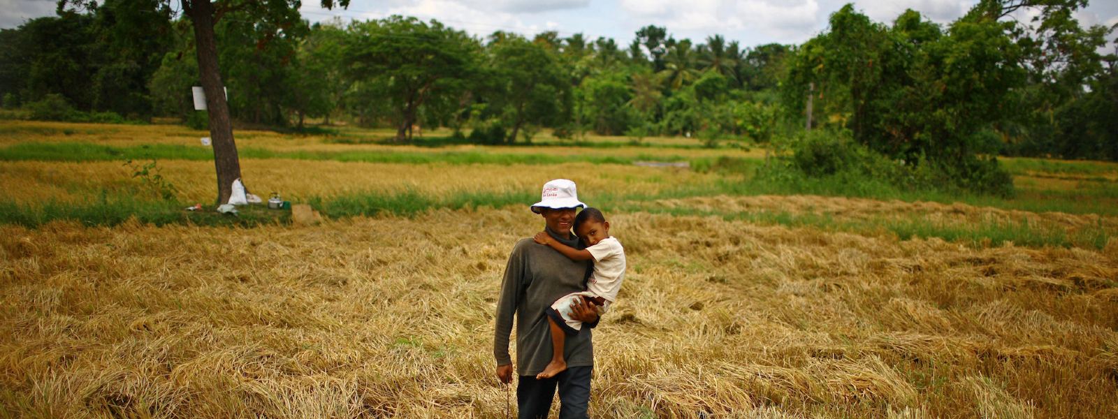 Food Security: Multi-Sector Combined Mechanism